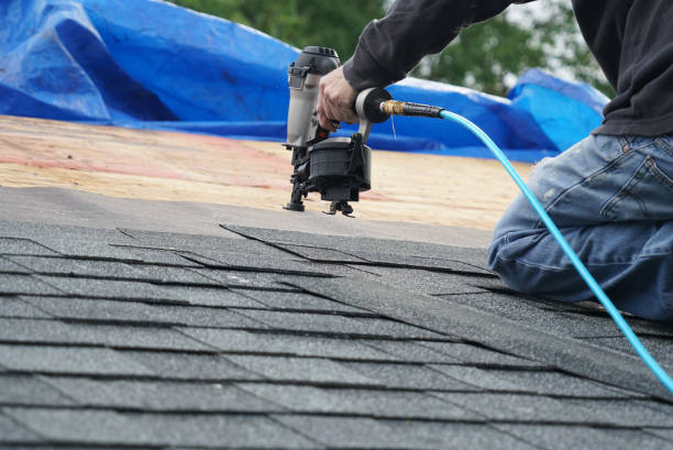 Best Storm Damage Roof Repair  in Carlin, NV